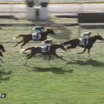 【2歳未勝利】グランマエストロまた負ける