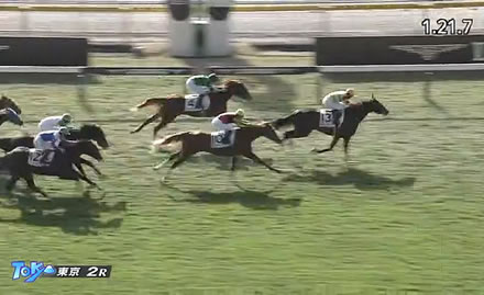 【2歳未勝利】グランマエストロまた負ける