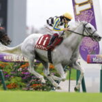 【競馬予想】[1] 第42回マイルチャンピオンシップ(GⅠ) /2025