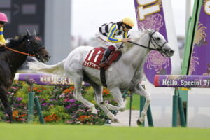 【競馬予想】[1] 第42回マイルチャンピオンシップ(GⅠ) /2025