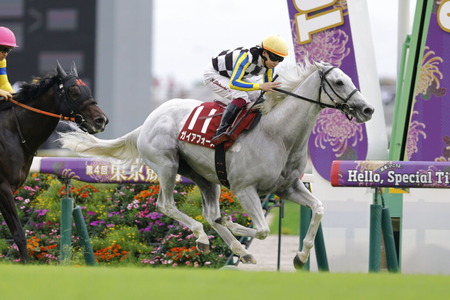 【競馬予想】[1] 第42回マイルチャンピオンシップ(GⅠ) /2025