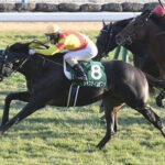 【京都2歳S】ジャスティンビスタ強すぎワロタww