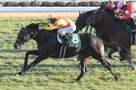 【京都2歳S】ジャスティンビスタ強すぎワロタww