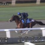 【武蔵野ステークス2025】追い切り/動きを見極め勝利に近づけ