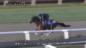 【武蔵野ステークス2025】追い切り/動きを見極め勝利に近づけ