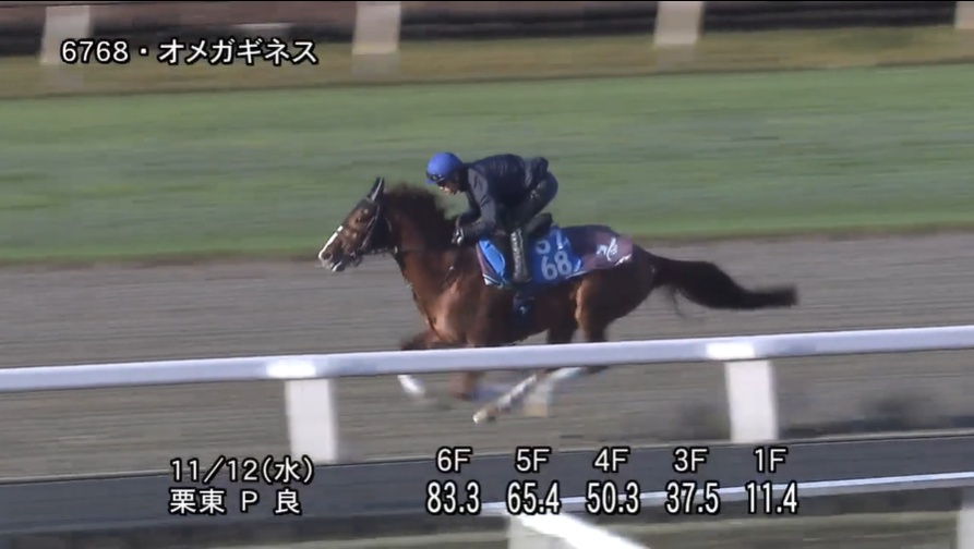 【武蔵野ステークス2025】追い切り/動きを見極め勝利に近づけ