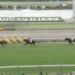 6億馬エムズビギン2歳未勝利出走も社台ノーザンクラブ馬0