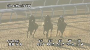 【エリザベス女王杯2025】追い切り/調教を見てわかる事