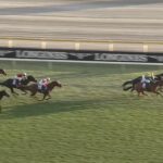 【ジャパンカップ2025】結果・動画/カランダガンが世界最強を証明