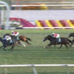 【京阪杯2025】出走予定馬・騎手/速さの極み