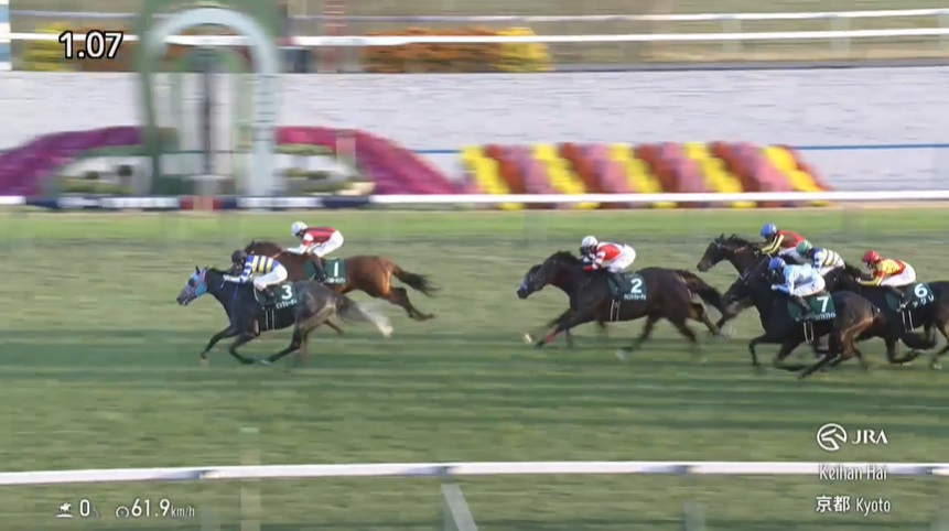 【京阪杯2025】出走予定馬・騎手/速さの極み