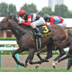 【競馬予想】[2]第63回アルゼンチン共和国杯(GⅡ) /2025