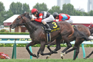 【競馬予想】[2]第63回アルゼンチン共和国杯(GⅡ) /2025