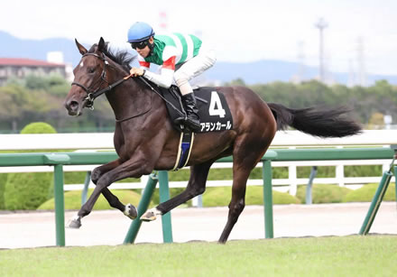 アランカール無事に阪神JFへ