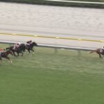 【京王杯2歳ステークス2025】結果・動画/ダイヤモンドノットが悠々抜け出す