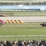 【競馬】デイリー杯2歳は坂井騎乗のアドマイヤクワッズがV