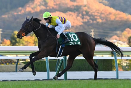 【福島記念】ニシノティアモ2番手追走から抜け出しV！４連勝で重賞初制覇　