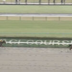 【オキザリス賞】サトノボヤージュ強すぎワロタwww