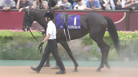 【福島記念】クリスマスパレード戸崎wwww