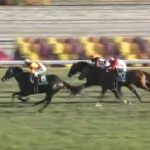 【競馬】京都2歳Sは北村友騎乗のジャスティンビスタがV
