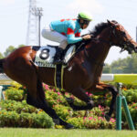 【競馬予想】第60回デイリー杯2歳ステークス(GⅡ) /2025