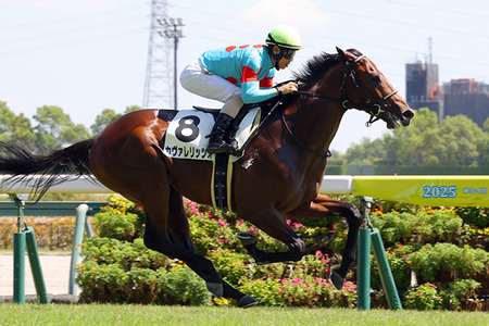 【競馬予想】第60回デイリー杯2歳ステークス(GⅡ) /2025