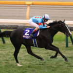 イクイノックスのレーティング135を超える馬は現れるのか？