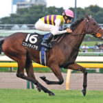 【競馬予想】第61回福島記念(GⅢ) /2025