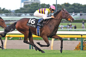 【競馬予想】第61回福島記念(GⅢ) /2025