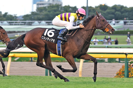 【競馬予想】第61回福島記念(GⅢ) /2025