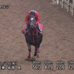 【福島記念2025】追い切り/抜群の動きを見せたのは