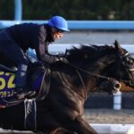 クロワデュノールJC最終追いにCデムーロが謎のサプライズ騎乗