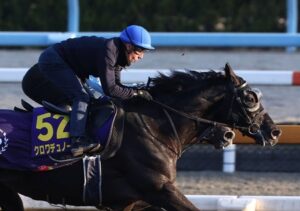 クロワデュノールJC最終追いにCデムーロが謎のサプライズ騎乗