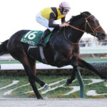 【武蔵野S】3歳馬ルクソールカフェが重賞初勝利!コスタノヴァ2着死守