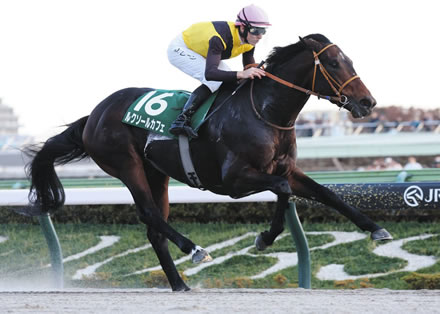 【武蔵野S】3歳馬ルクソールカフェが重賞初勝利!コスタノヴァ2着死守