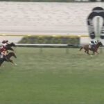 【競馬】京王杯2歳Sはルメール騎乗のダイヤモンドノットがV