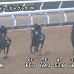 【アルゼンチン共和国杯2025】追い切り/動きからレースを紐解く