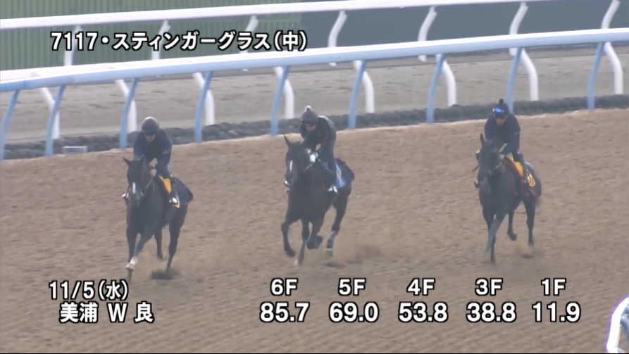 【アルゼンチン共和国杯2025】追い切り/動きからレースを紐解く