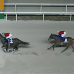 【東海菊花賞】シンメデージー単勝1.0倍で負けるwww