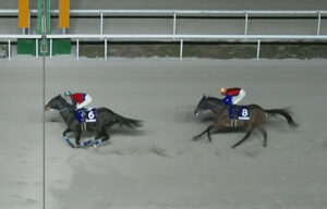 【東海菊花賞】シンメデージー単勝1.0倍で負けるｗｗｗ