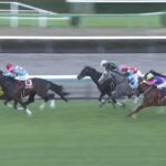 【ステイヤーズステークス2025】出走予定馬・騎手/スタミナ・持久力が問われる