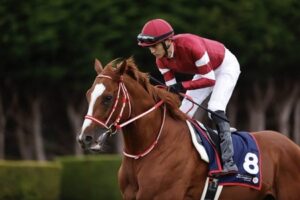 シンエンペラー JC2週前追いでCW6F77秒の猛時計