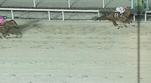 【JBCクラシック】ミッキーファイト完勝でJpnIを2連勝！2着はメイショウハリオ