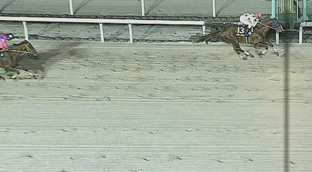 【JBCクラシック】ミッキーファイト完勝でJpnIを2連勝！2着はメイショウハリオ