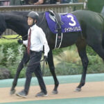 【ジャパンC】ジャスティンパレス狙っていヤツ