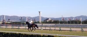 【マイルCS】ジャンタルマンタル&川田騎手がキタ━━━━(゚∀゚)━━━━!!