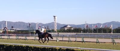 【マイルCS】ジャンタルマンタル＆川田騎手がｷﾀ━━━━(ﾟ∀ﾟ)━━━━!!