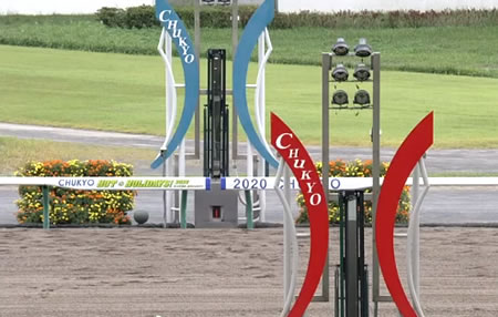 【チャンピオンズC想定】ナルカミ,ダブルハートボンド,ウィルソンテソーロなど17頭