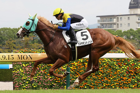 【競馬予想】第61回京王杯2歳ステークス(GⅡ) /2025