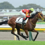 シンリョクカが引退 繁殖入り